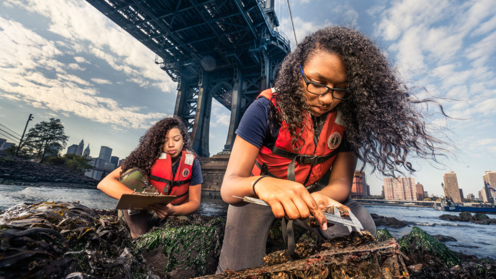Students measuring oysters in NYC's harbor